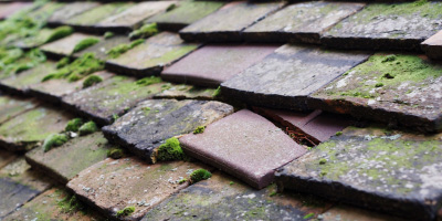 Fingest roof repair costs